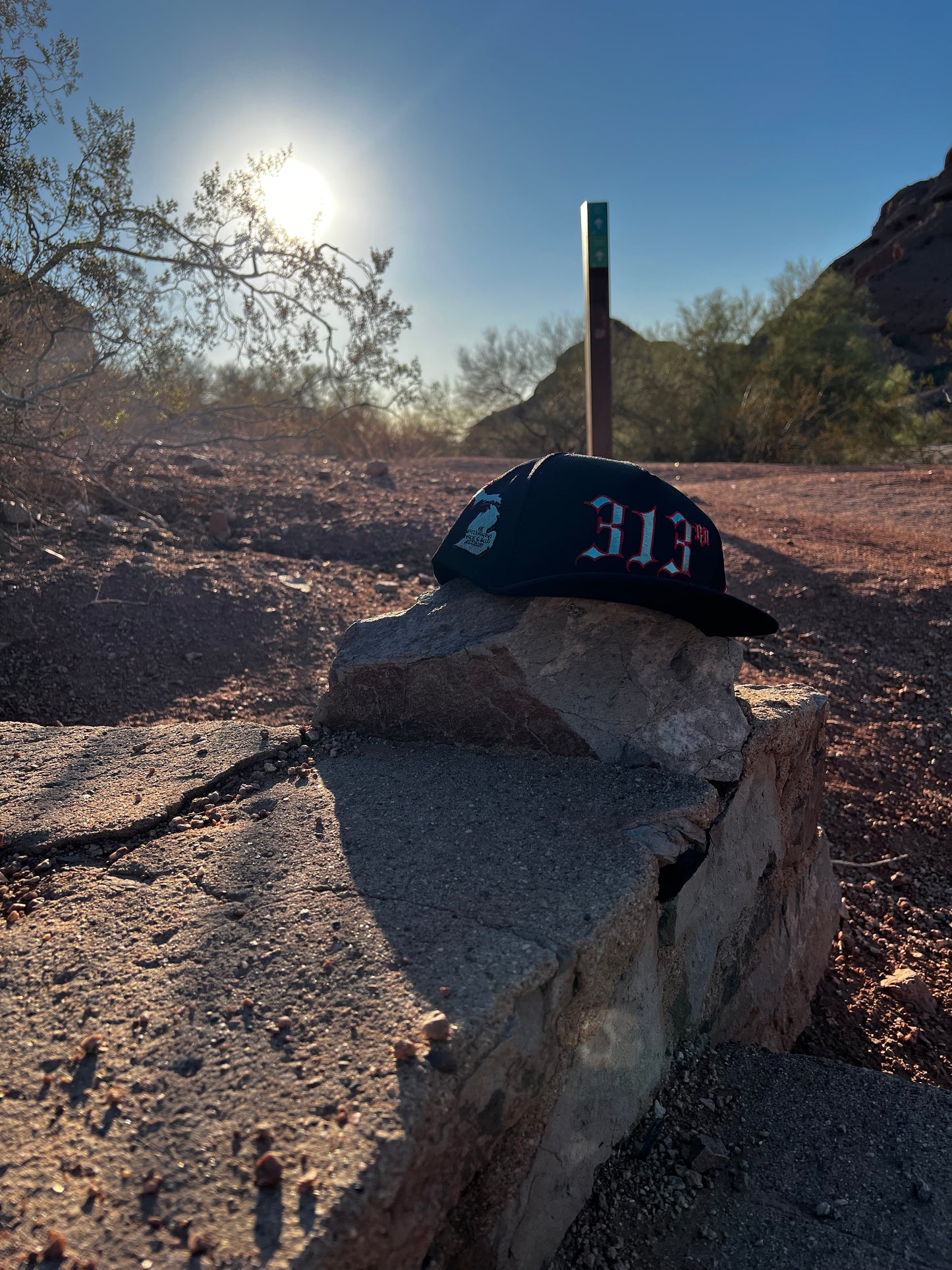313 SnapBack