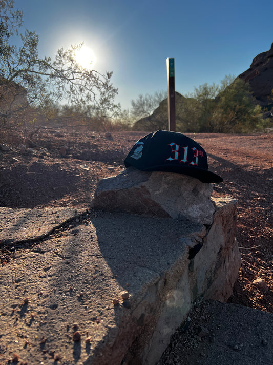313 SnapBack
