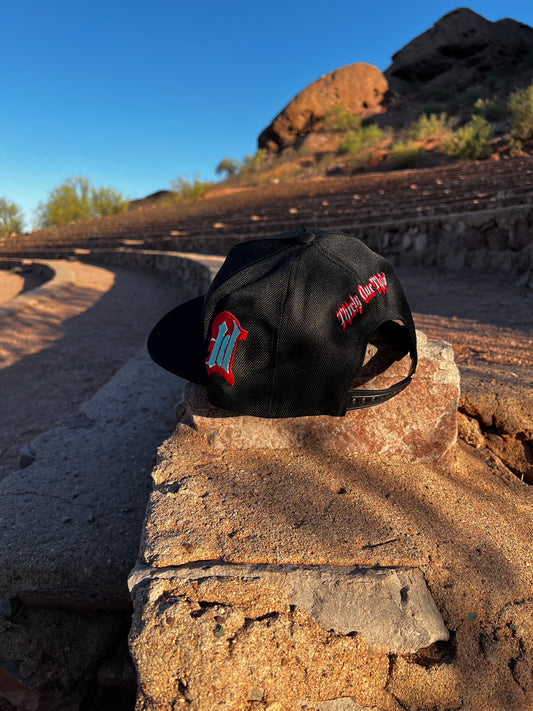 313 SnapBack